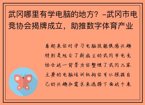 武冈哪里有学电脑的地方？-武冈市电竞协会揭牌成立，助推数字体育产业融合发展